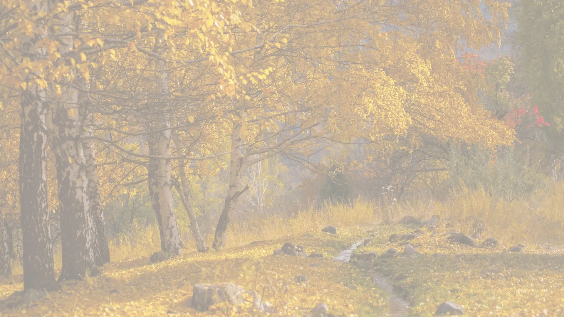 Déstockage d'automne : Jusqu’à −60 %