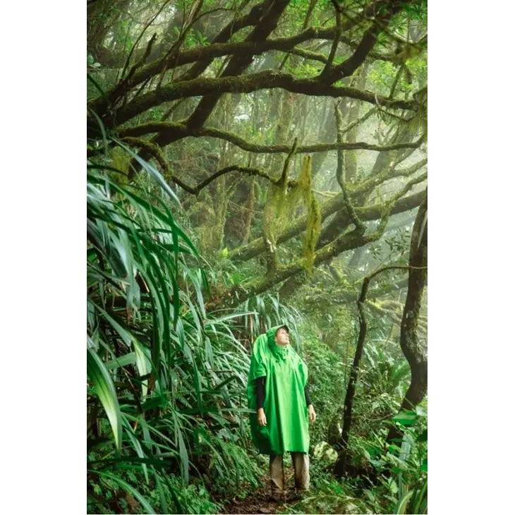 Capa de chuva Poncho Tarp Nylon 70 D – Sea to Summit