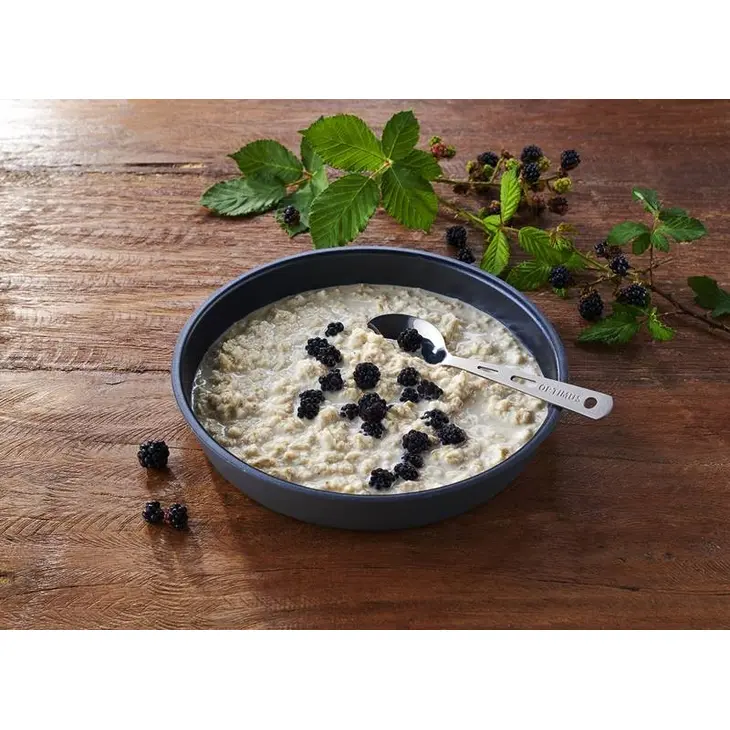 Porridge protéiné lyophilisé – Trek'n Eat