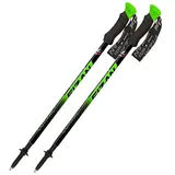 Bastoncini da trekking compatti – Fizan – VERDE