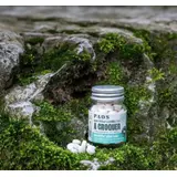 Pasta de dientes masticable de menta helada ecológica – PAOS