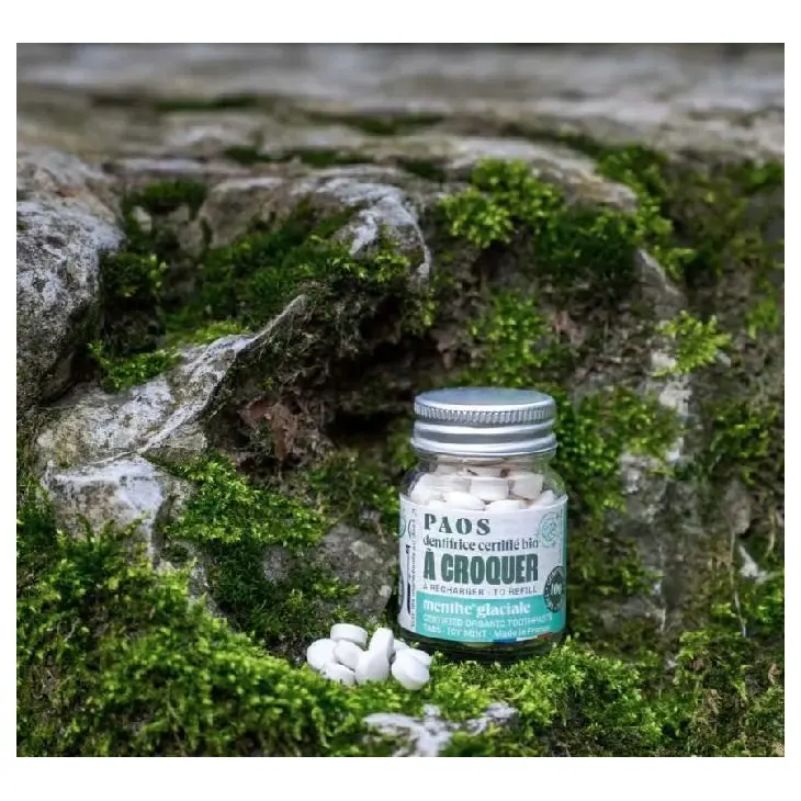 Pasta de dientes masticable de menta helada ecológica – PAOS
