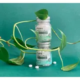 Pasta de dientes masticable de menta helada ecológica – PAOS