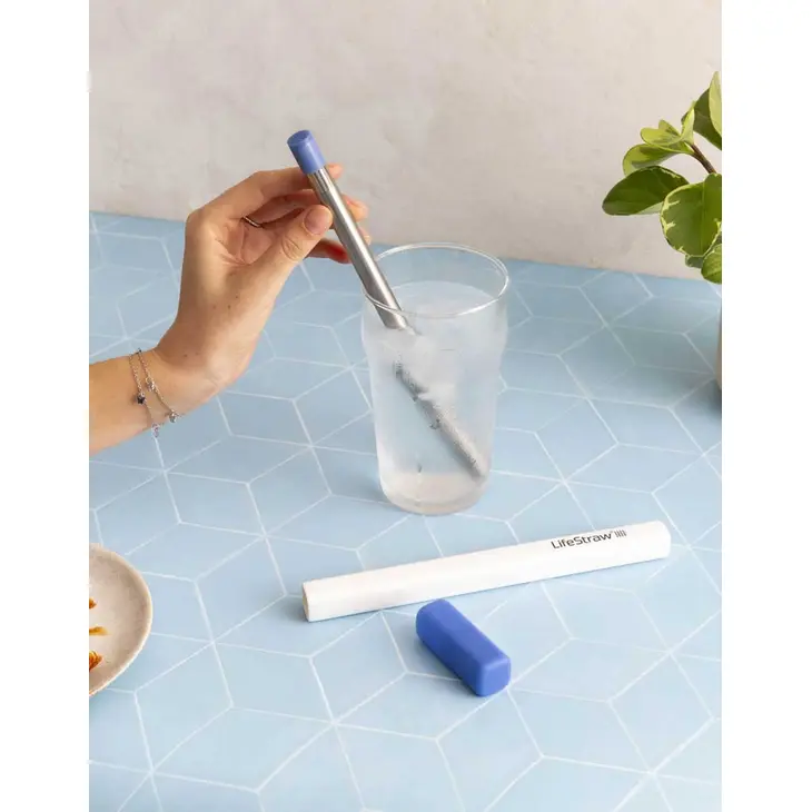 Palhinha filtrante Lifestraw SIP