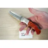 223412 HERBERTZ COLTELLO PACCA 12CM ACCIAIO INOX 223412