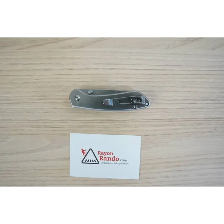 Canivete BUCK Mini Sovereign Acier Inox 0743Sss