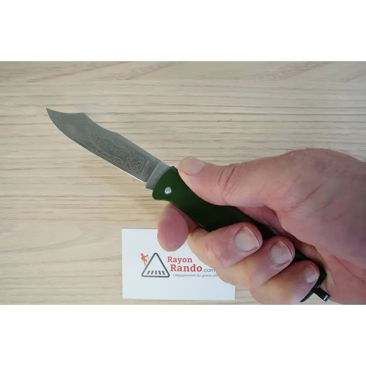 Canivete DOUK-DOUK Vert 11cm Inox 1815.V