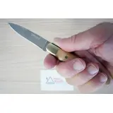 1457 CUCHILLO PARA MANZANAS NORMAUND 10,5CM ACERO INOXIDABLE
