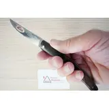 3836 LE THIERS MES LE FIDELE WALNOOT 12CM ROESTVRIJ STAAL