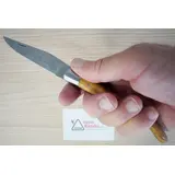 ANT.4 LAGUIOLE COLTELLO ANTAN OLIVIER MAT ACCIAIO INOX BOLSTER 12CM – G. DAVID
