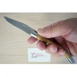 ANT.18 COLTELLO LAGUIOLE ANTAN ROVERE BOTTE BOLSTERS MAT ACCIAIO INOX 12CM – G. DAVID